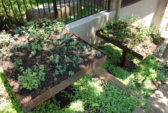 raised garden beds