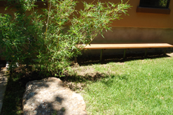 Botanica Gallery Image